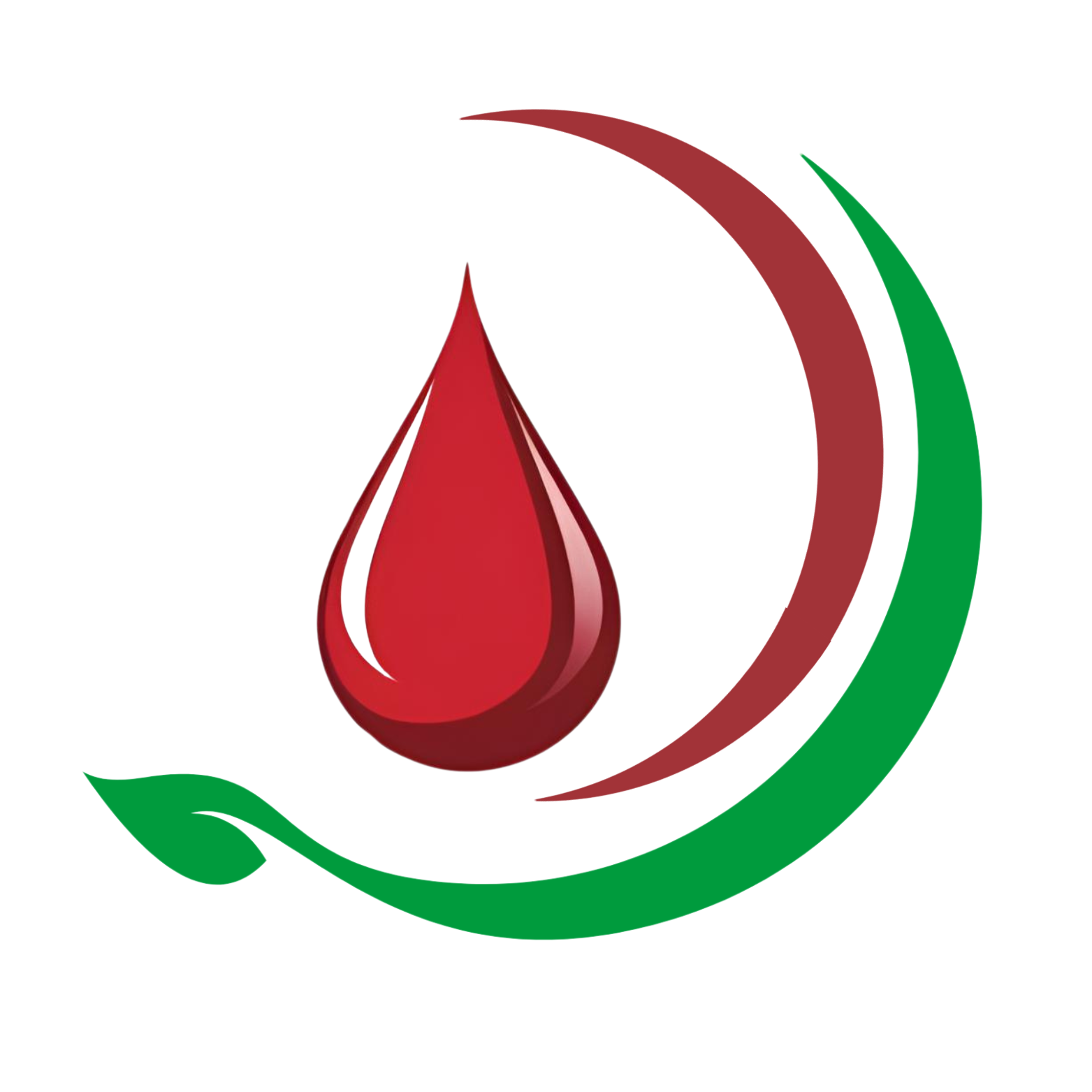 journal of diabesity logo